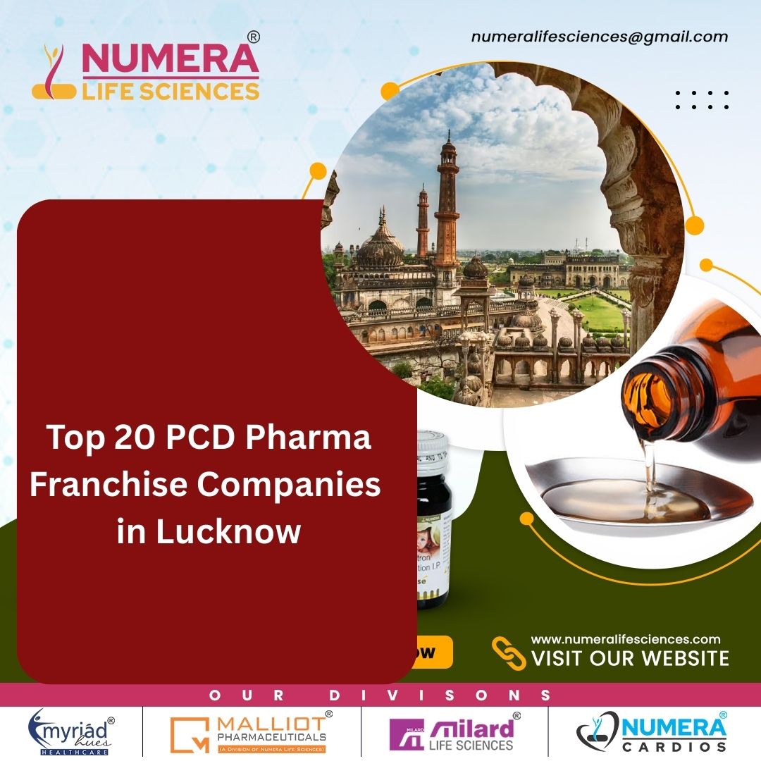 Top 20 PCD Pharma Franchise companies in Lucknow